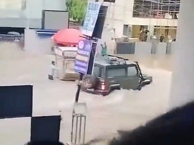 A 'Thar' can be seen in a viral video wading through rainwater accumulated outside the coaching centre in question, leading to the collapse of its gates  - X/@biosagain